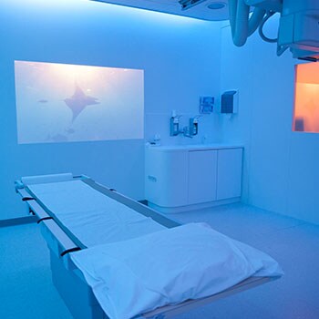 jeroen bosch xray room