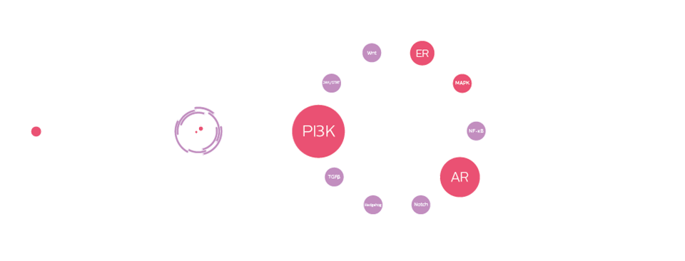 OncoSignal infographic