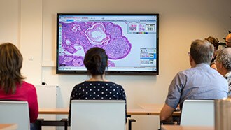 digital pathology clinical image