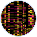 Genomics pathology