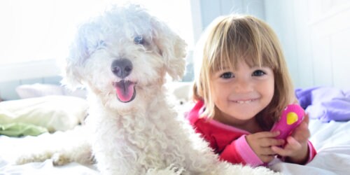 Can kids with Asthma have Pets