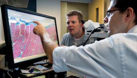 Multi-Center Clinical Validation Study by Philips to be Submitted to FDA in Support of Expanded Indications for Use for Philips IntelliSite Digital Pathology Solution in the U.S.