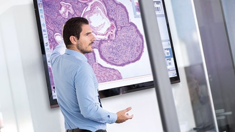 Philips expands its Digital Pathology Solutions portfolio with the acquisition of PathXL